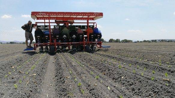 trasplantadora-fx de Ferrari